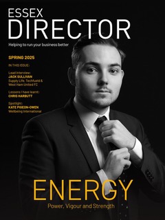 directors spring